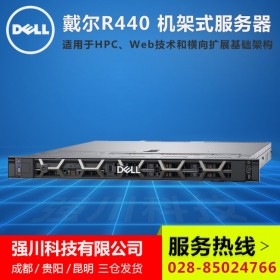 南充戴爾渠道批發_DELL R440雙路1U機架式企業級應用服務器/crm服務器