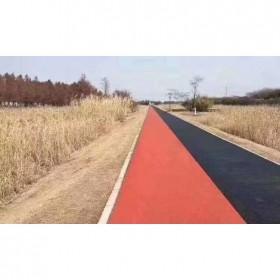 供應生態(tài)透水地坪 彩色生態(tài)透水地坪廠家直銷